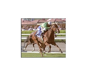 Golden Apples (3) cruises to victory in the Yellow Ribbon.