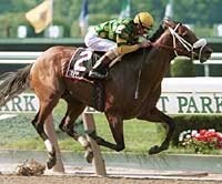 Change of Plans: Trippi to Ocala Stud Change of Plans: Trippi to Ocala Stud