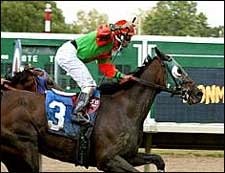 Bravo Wins Six at Monmouth, Ties Record Bravo Wins Six at Monmouth, Ties Record