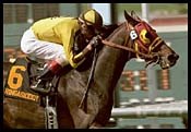 Santa Anita Race Report: King Juan Santa Anita Race Report: King Juan