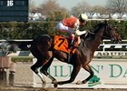 Now a Victor strolls home in the Discovery.<br><a target="blank" href="http://www.bloodhorse.com/horse-racing/photo-store?ref=http%3A%2F%2Fpictopia.com%2Fperl%2Fgal%3Fprovider_id%3D368%26ptp_photo_id%3D2859656%26ref%3Dstory">Order This Photo</a>