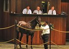 Hip# 137; colt, Scat Daddy - Madagascat by Tale of the Cat brought $400,000 during the opening session of the Ocala Breeders' Sales Co. March select sale of 2-year-olds in training in Central Florida.