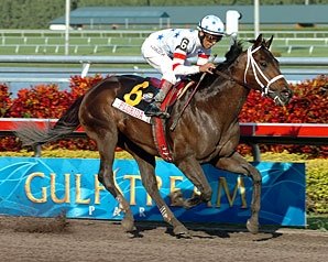 Dubai Sprint Sees American Favorites Dubai Sprint Sees American Favorites