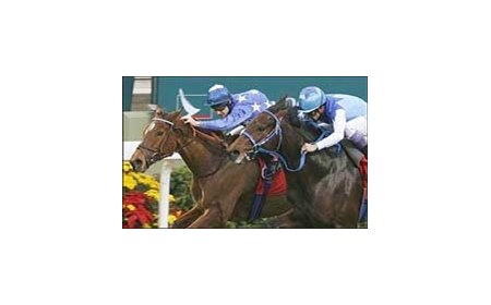 Pride, left, slips by Admire Moon on the way to a win in the Cathy Pacific Hong Kong Cup.
