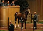 This son of A.P. Indy brought $1.5 million during the second day of the Keeneland sale Tuesday morning.