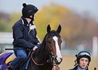 Sea Moon was unable to work after the turf course was closed on account of rain.<br><a target="blank" href="http://www.bloodhorse.com/horse-racing/photo-store?ref=http%3A%2F%2Fpictopia.com%2Fperl%2Fgal%3Fprovider_id%3D368%26ptp_photo_id%3D9727772%26ref%3Dstory">Order This Photo</a>