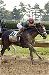 Eurosilver Makes 3-year-old Debut in Gulfstream Allowance Wednesday Eurosilver Makes 3-year-old Debut in Gulfstream Allowance Wednesday