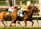City To City makes her Hollywood Park debut in the Senorita Stakes.<br><a target="blank" href="http://www.bloodhorse.com/horse-racing/photo-store?ref=http%3A%2F%2Fpictopia.com%2Fperl%2Fgal%3Fprovider_id%3D368%26ptp_photo_id%3D8874607%26ref%3Dstory">Order This Photo</a>
