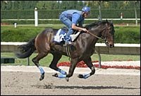Record-Priced 2-Year-Old Makes First Start Record-Priced 2-Year-Old Makes First Start