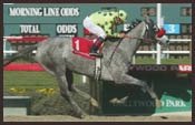 Sky Jack Romps in Mervyn Leroy Sky Jack Romps in Mervyn Leroy