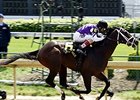 Pat Day Stakes winner Competitive Edge<br><a target="blank" href="http://photos.bloodhorse.com/AtTheRaces-1/At-the-Races-2015/i-wjX8HBG">Order This Photo</a>