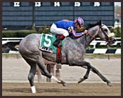 Bella Bellucci Scratched Out of Oaks; Filly 'Not 100%' Bella Bellucci Scratched Out of Oaks; Filly 'Not 100%'