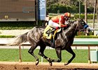 Five Palms Making Stakes Debut in Los Angeles Five Palms Making Stakes Debut in Los Angeles
