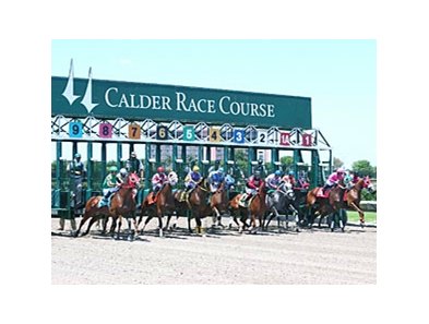 Calder race course