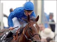 Godolphin's Classic Winner Shamardal Retired due to Injury Godolphin's Classic Winner Shamardal Retired due to Injury
