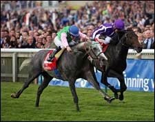 Literato Hangs on for Champion Victory Literato Hangs on for Champion Victory