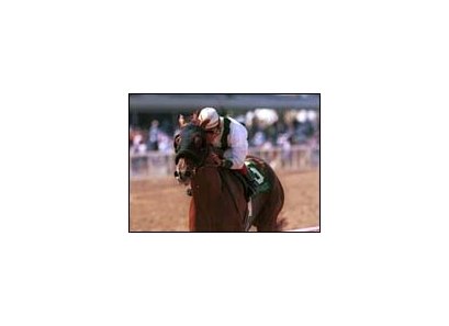 Congaree, ridden by Gary Stevens, crosses the wire first in the Grade I $500,000 Swaps Stakes, Sunday, July 15, 2001, at Hollywood Park in Inglewood, Calif. (AP Photo/Benoit Photo)