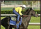Kentucky Derby Winner War Emblem breaks from post position 8 in Saturday's Preakness.