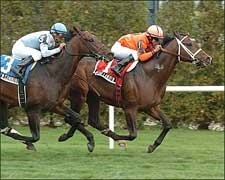 Woodlander Keeps Owners On Top in Fort Marcy Woodlander Keeps Owners On Top in Fort Marcy