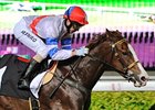 Better Life is headed for the Singapore Guineas
