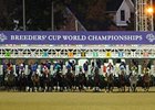 <br><a target="blank" href="http://www.bloodhorse.com/horse-racing/photo-store?ref=http%3A%2F%2Fpictopia.com%2Fperl%2Fgal%3Fprovider_id%3D368%26ptp_photo_id%3D9289570%26ref%3Dstory">Order This Photo</a>