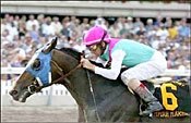 Steve Haskin's Derby Watch--Week 11 (April 1) Steve Haskin's Derby Watch--Week 11 (April 1)