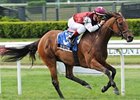 Criticism bounds home in the Sheepshead Bay.<br><a target="blank" href="http://www.bloodhorse.com/horse-racing/photo-store?ref=http%3A%2F%2Fpictopia.com%2Fperl%2Fgal%3Fprovider_id%3D368%26ptp_photo_id%3D8147547%26ref%3Dstory">Order This Photo</a>