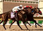 Acclamation wins the Pacific Classic
<br><a target="blank" href="http://www.bloodhorse.com/horse-racing/photo-store?ref=http%3A%2F%2Fpictopia.com%2Fperl%2Fgal%3Fprovider_id%3D368%26ptp_photo_id%3D9650083%26ref%3Dstory">Order This Photo</a>