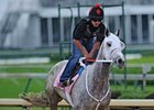 Joyful Victory
<br><a target="blank" href="http://www.bloodhorse.com/horse-racing/photo-store?ref=http%3A%2F%2Fpictopia.com%2Fperl%2Fgal%3Fprovider_id%3D368%26ptp_photo_id%3D9512412%26ref%3Dstory">Order This Photo</a>