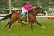 Pincay, 'Lil Sister' the Toast of Monrovia Pincay, 'Lil Sister' the Toast of Monrovia
