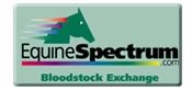Dixieland Band Season Brings $33,000 In Equine Spectrum Auction Dixieland Band Season Brings $33,000 In Equine Spectrum Auction