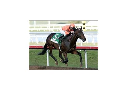 Florida-bred Lost in the Fog, with Russell Baze riding, wins the Ocala Stud Dash on Sunshine Millions Day at Gulfstream Park.