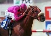 Reine de Romance Closes for San Clemente Win Reine de Romance Closes for San Clemente Win