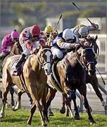 Resilient Sweet Return Wins Kilroe Mile Resilient Sweet Return Wins Kilroe Mile