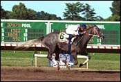 Monmouth Park Race Report: Major Advance Monmouth Park Race Report: Major Advance