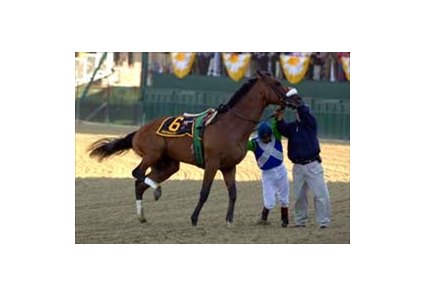 Jockey Edgar Prado and unidentified man attempt to calm Barbaro after the Kentucky Derby winner broke down shortly after the start of the Preakness.