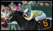 Saratoga Race Report: Coming of Age Saratoga Race Report: Coming of Age
