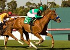 Cozi Rosie registered her first stakes win in the Senorita on the Hollywood Park grass.<br><a target="blank" href="http://www.bloodhorse.com/horse-racing/photo-store?ref=http%3A%2F%2Fpictopia.com%2Fperl%2Fgal%3Fprovider_id%3D368%26ptp_photo_id%3D8939200%26ref%3Dstory">Order This Photo</a>
