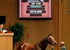 Miles of Style was the most expensive horse sold during the fourth session of this year's Keeneland November sale, bringing $575,000.