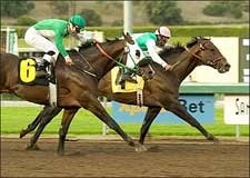 Latent Heat Sizzles in San Carlos Latent Heat Sizzles in San Carlos
