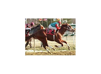 Talk Is Money, whose addition to the list of possible Derby starters was no surprise.