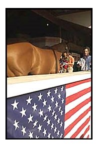 With the image of the American flag in the foreground, a yearling waits in the shadows to be shown to a prospective buyer.