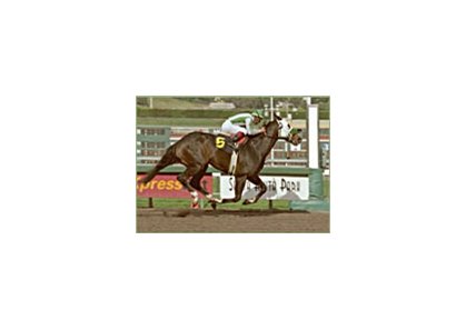 Leading Derby contender Kafwain, winning the San Vicente.