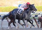 Toccet winner Managed Account is the only stakes winner in the Remsen field.