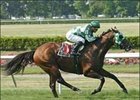 Ecclesiastic Gives Jerkens Jaipur Surprise Ecclesiastic Gives Jerkens Jaipur Surprise