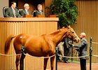 Miss Lodi brought the Tuesday session's highest price, going for $1.9 million.