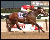 Affirmed Success Grade I Winner at Eight Affirmed Success Grade I Winner at Eight