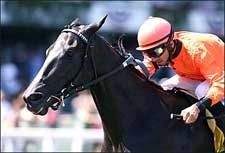 Sprint Contender Smokey Stover Turns in Swift Move Sprint Contender Smokey Stover Turns in Swift Move