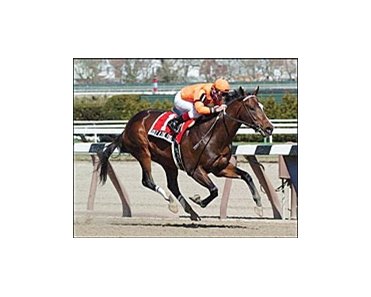 Lost in the Fog and Russell Baze cruise home for the win in the Bay Shore, Saturday at Aqueduct.