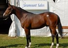 Buy-Back Rate Down at FT Midlantic Sale Buy-Back Rate Down at FT Midlantic Sale